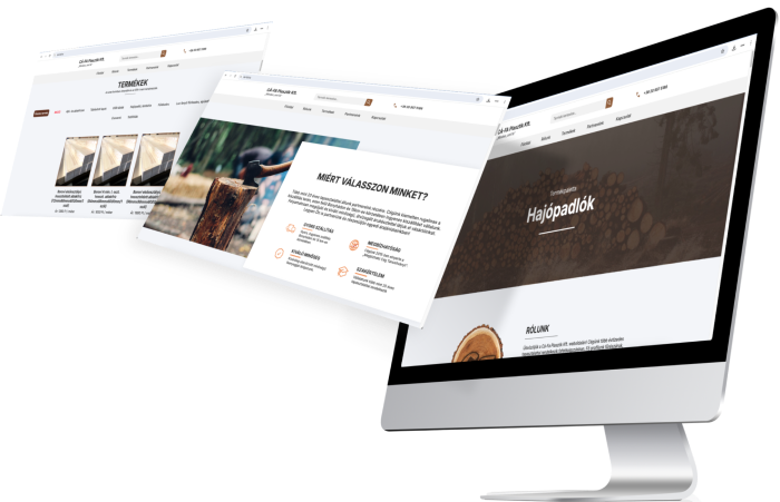 Screen showing opened website created by netlin technologies